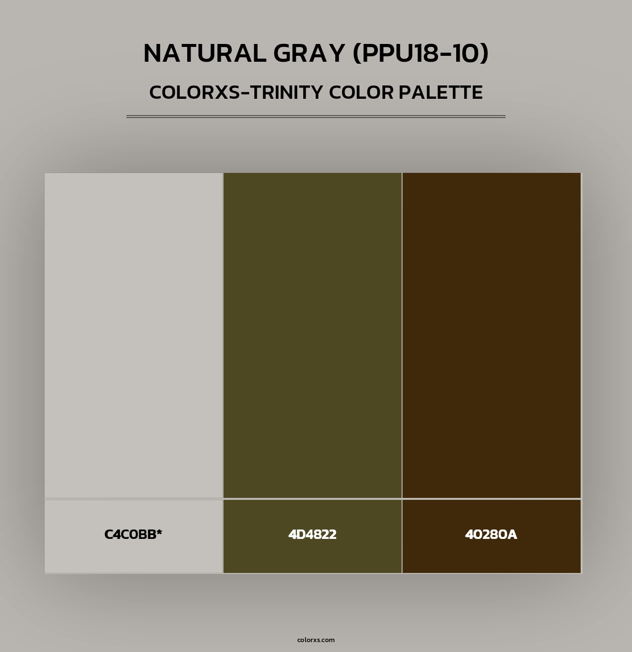 Natural Gray (PPU18-10) - Colorxs Trinity Palette