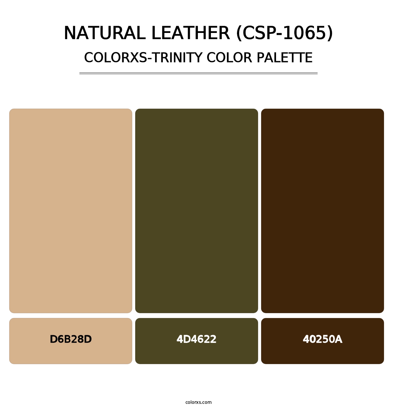 Natural Leather (CSP-1065) - Colorxs Trinity Palette