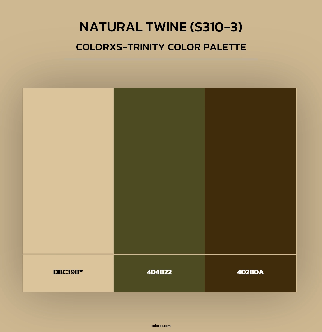 Natural Twine (S310-3) - Colorxs Trinity Palette