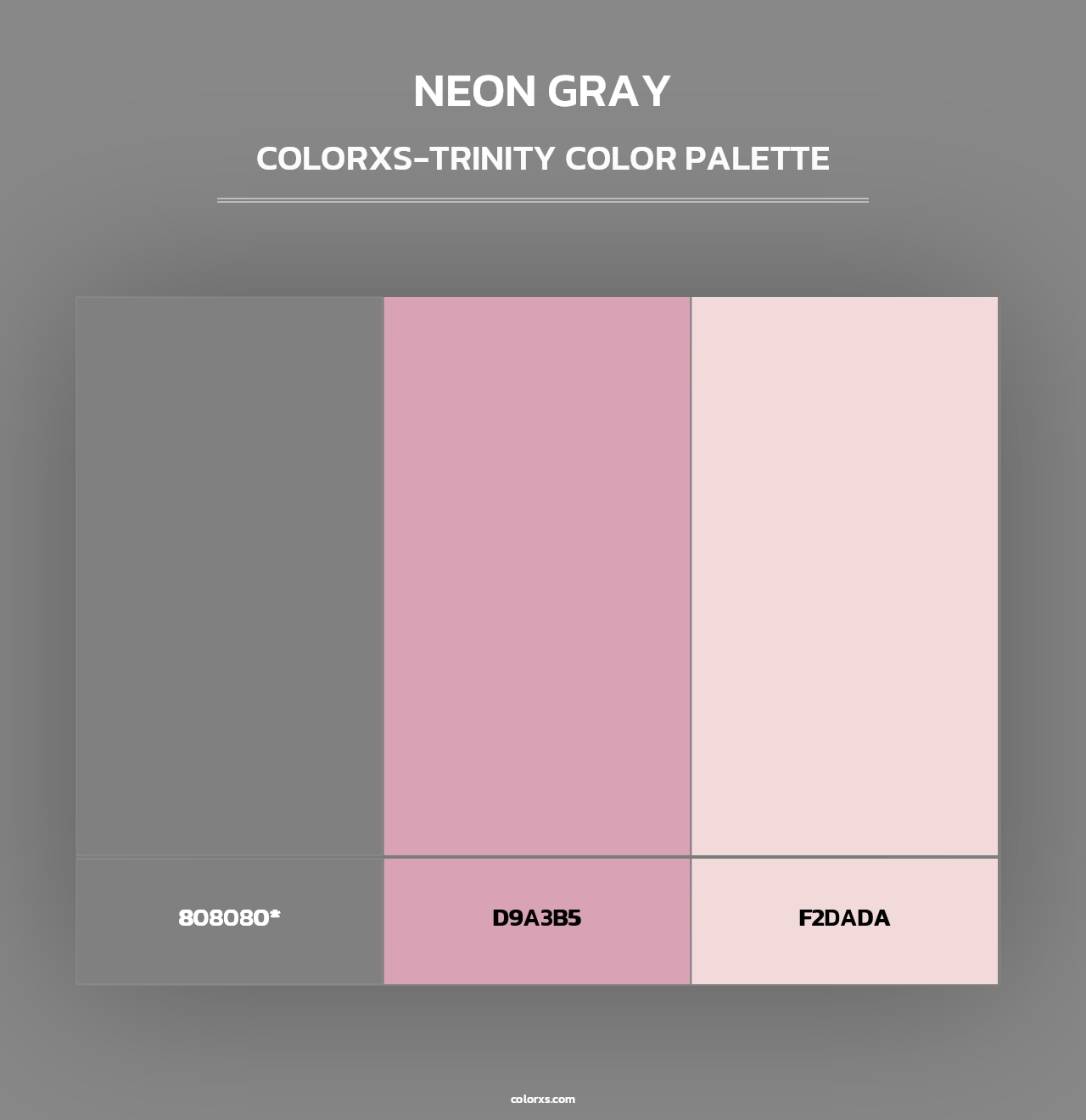 Neon Gray - Colorxs Trinity Palette