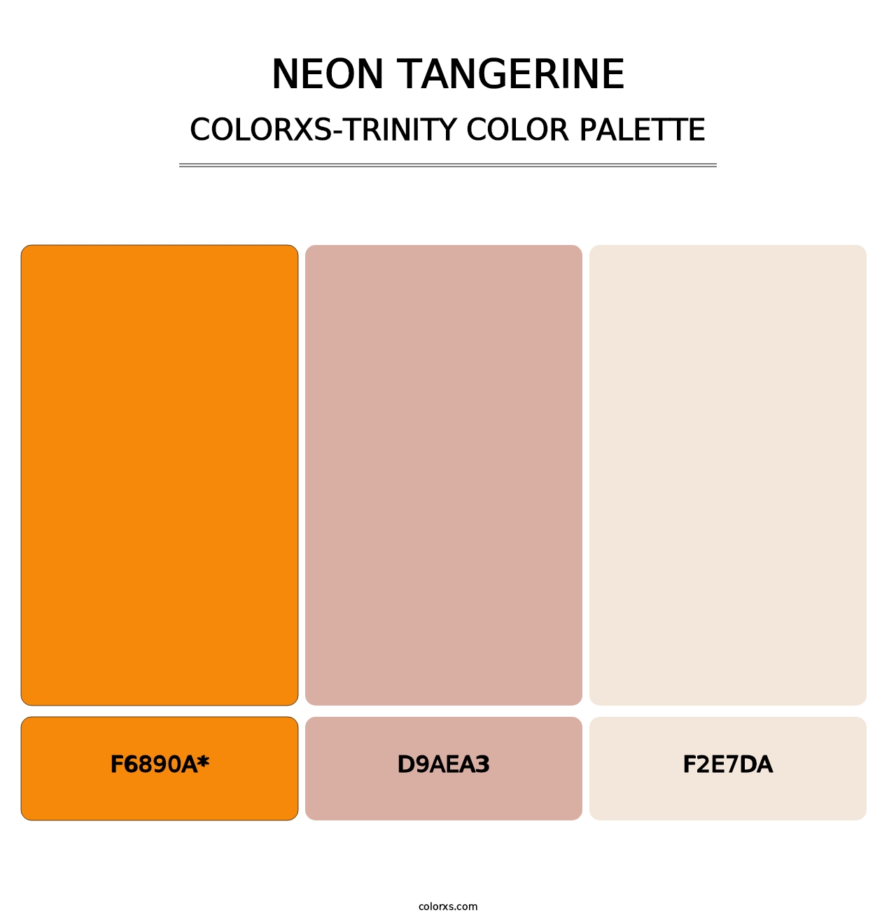 Neon Tangerine - Colorxs Trinity Palette