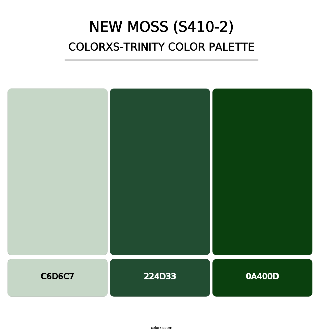 New Moss (S410-2) - Colorxs Trinity Palette