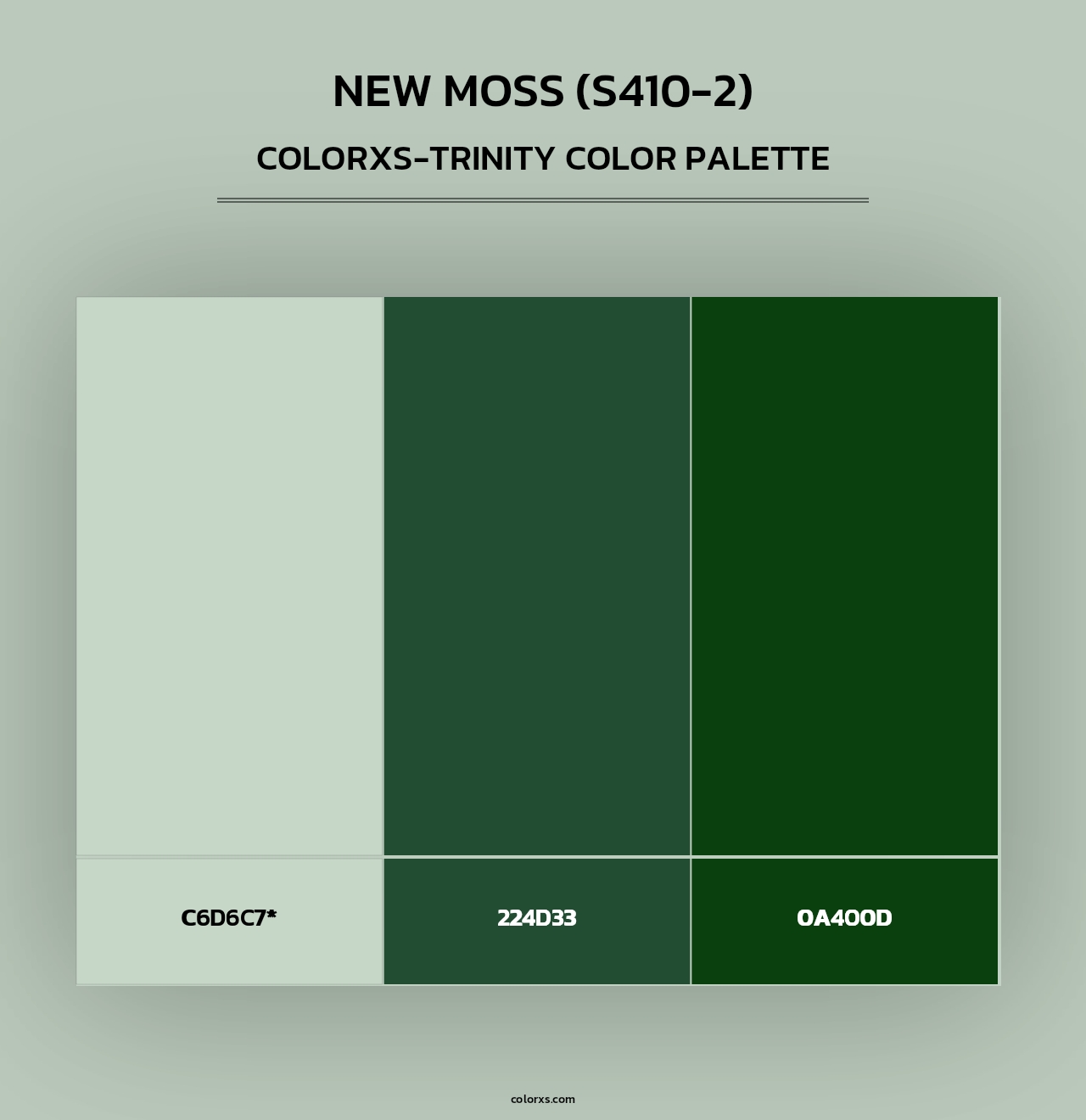 New Moss (S410-2) - Colorxs Trinity Palette