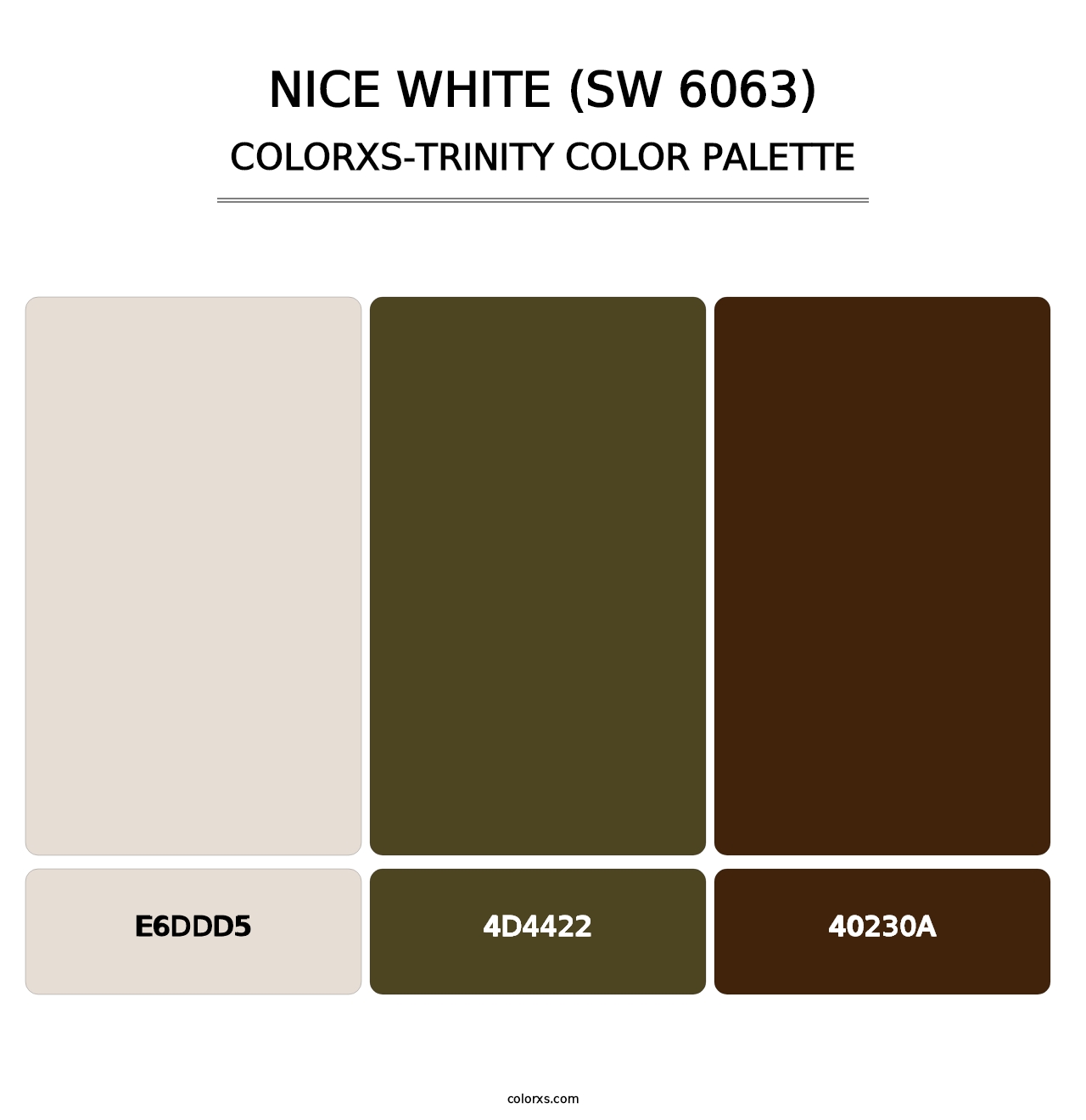 Nice White (SW 6063) - Colorxs Trinity Palette