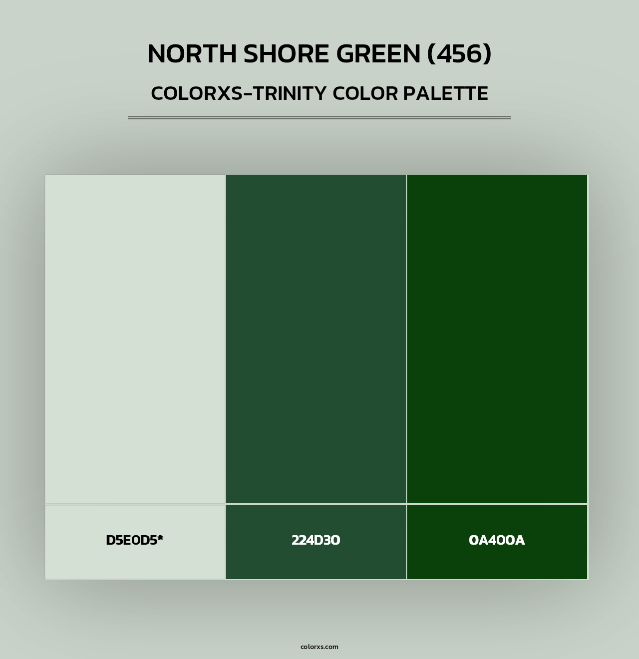 North Shore Green (456) - Colorxs Trinity Palette