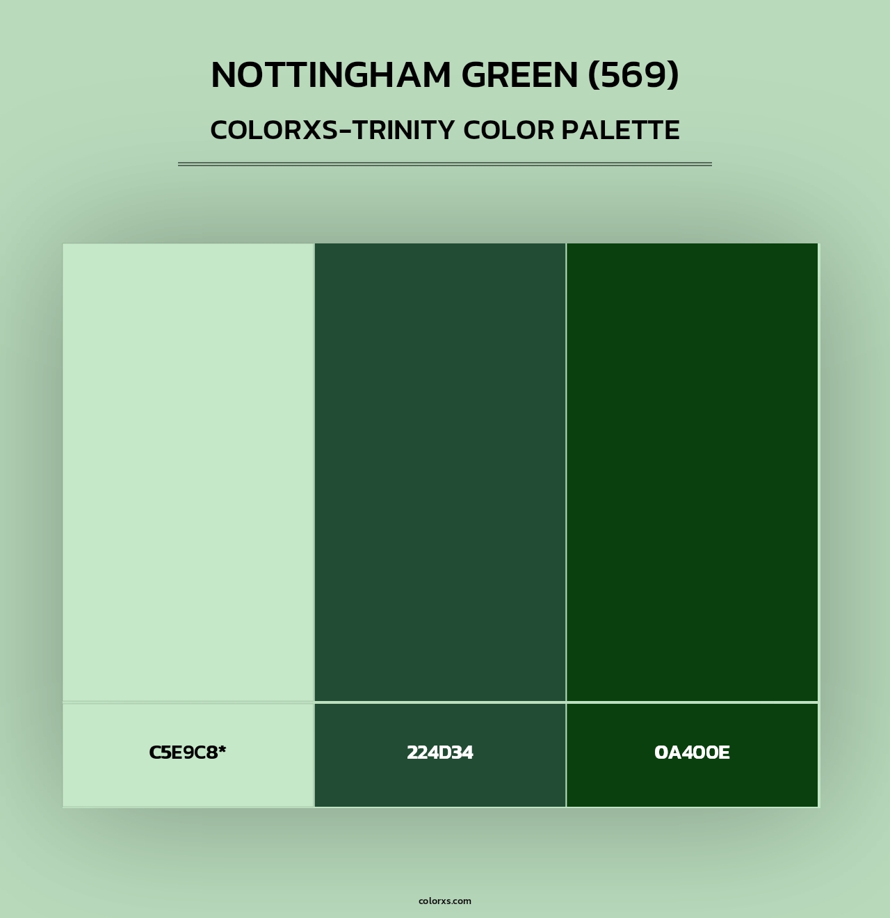 Nottingham Green (569) - Colorxs Trinity Palette