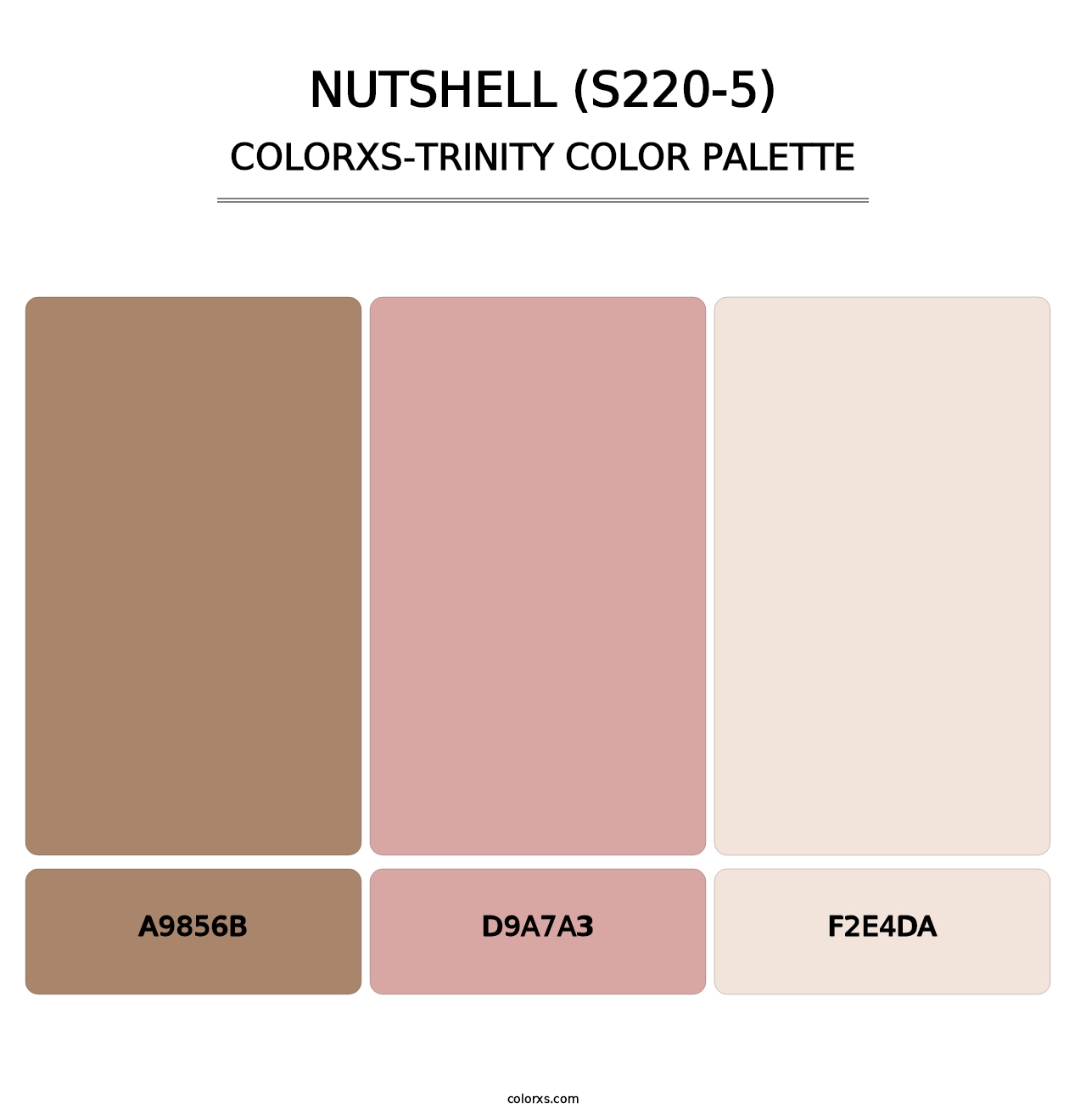 Nutshell (S220-5) - Colorxs Trinity Palette