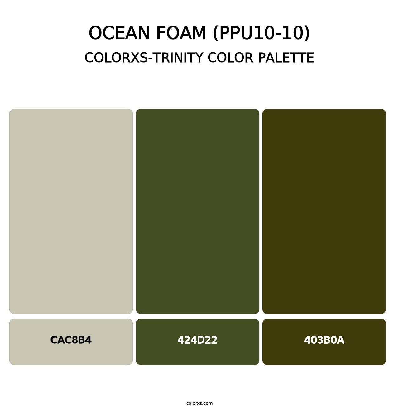 Ocean Foam (PPU10-10) - Colorxs Trinity Palette