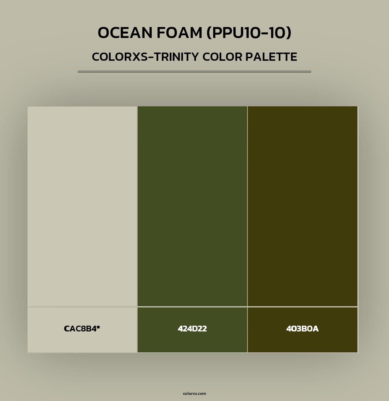 Ocean Foam (PPU10-10) - Colorxs Trinity Palette