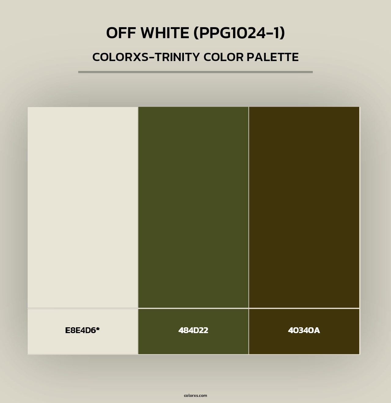 Off White (PPG1024-1) - Colorxs Trinity Palette