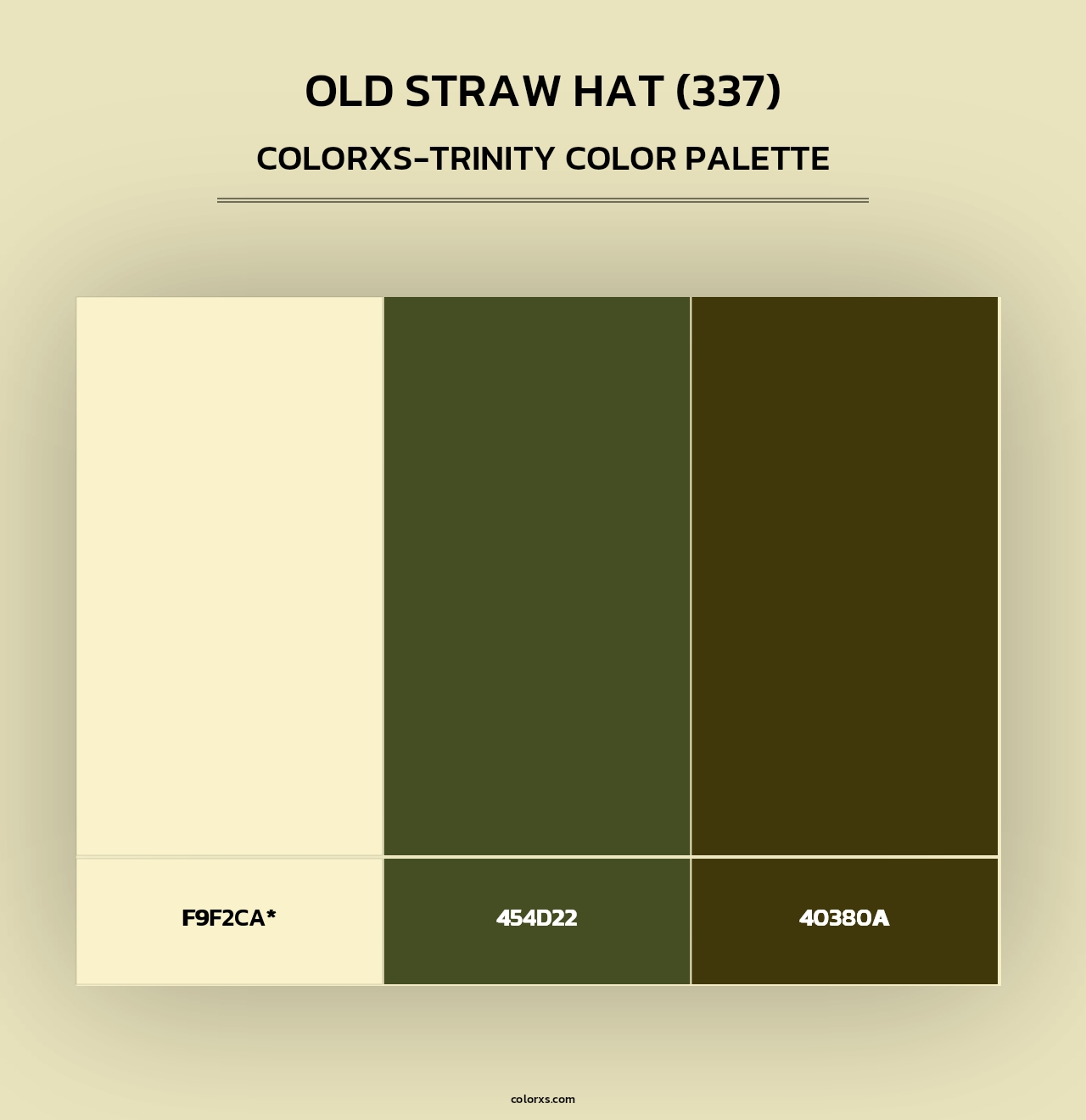 Old Straw Hat (337) - Colorxs Trinity Palette