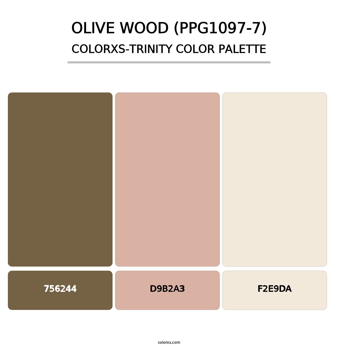 Olive Wood (PPG1097-7) - Colorxs Trinity Palette
