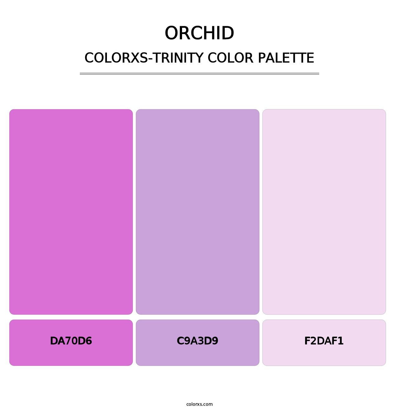 Orchid - Colorxs Trinity Palette
