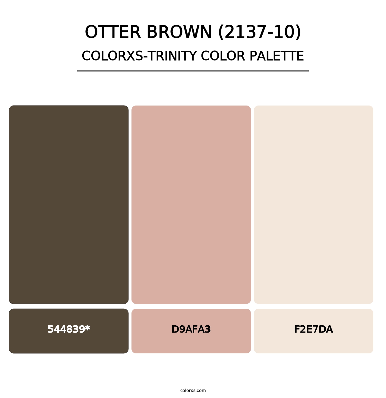 Otter Brown (2137-10) - Colorxs Trinity Palette