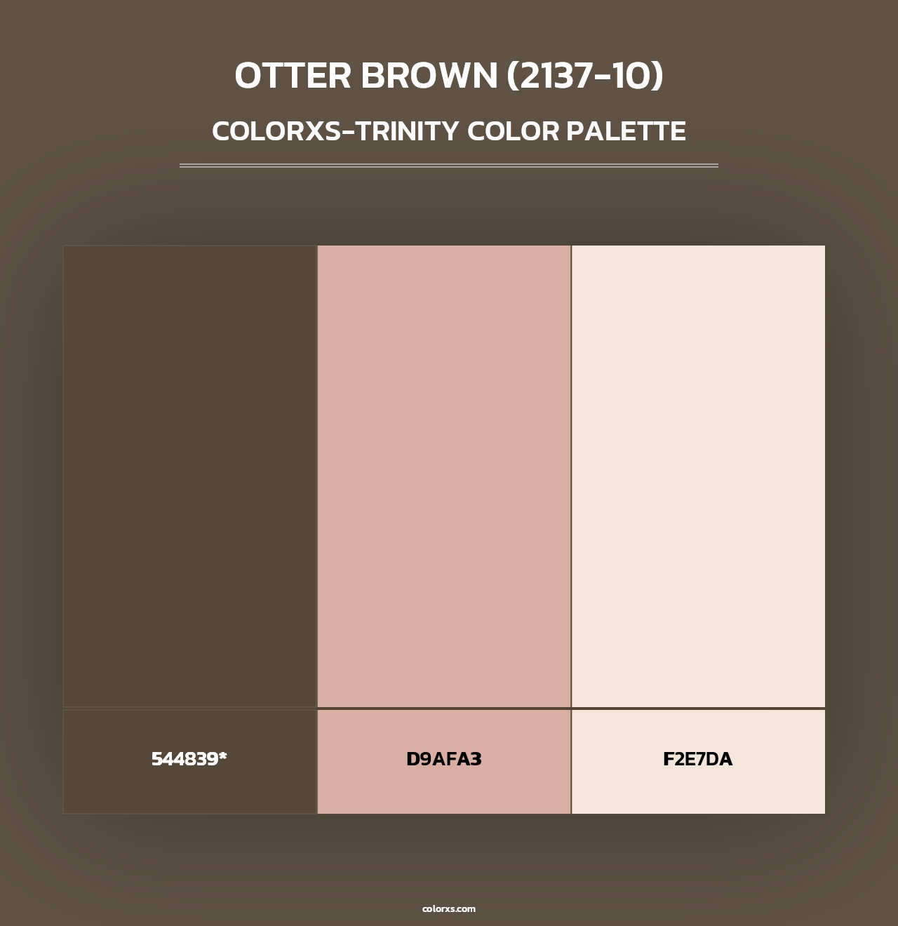 Otter Brown (2137-10) - Colorxs Trinity Palette