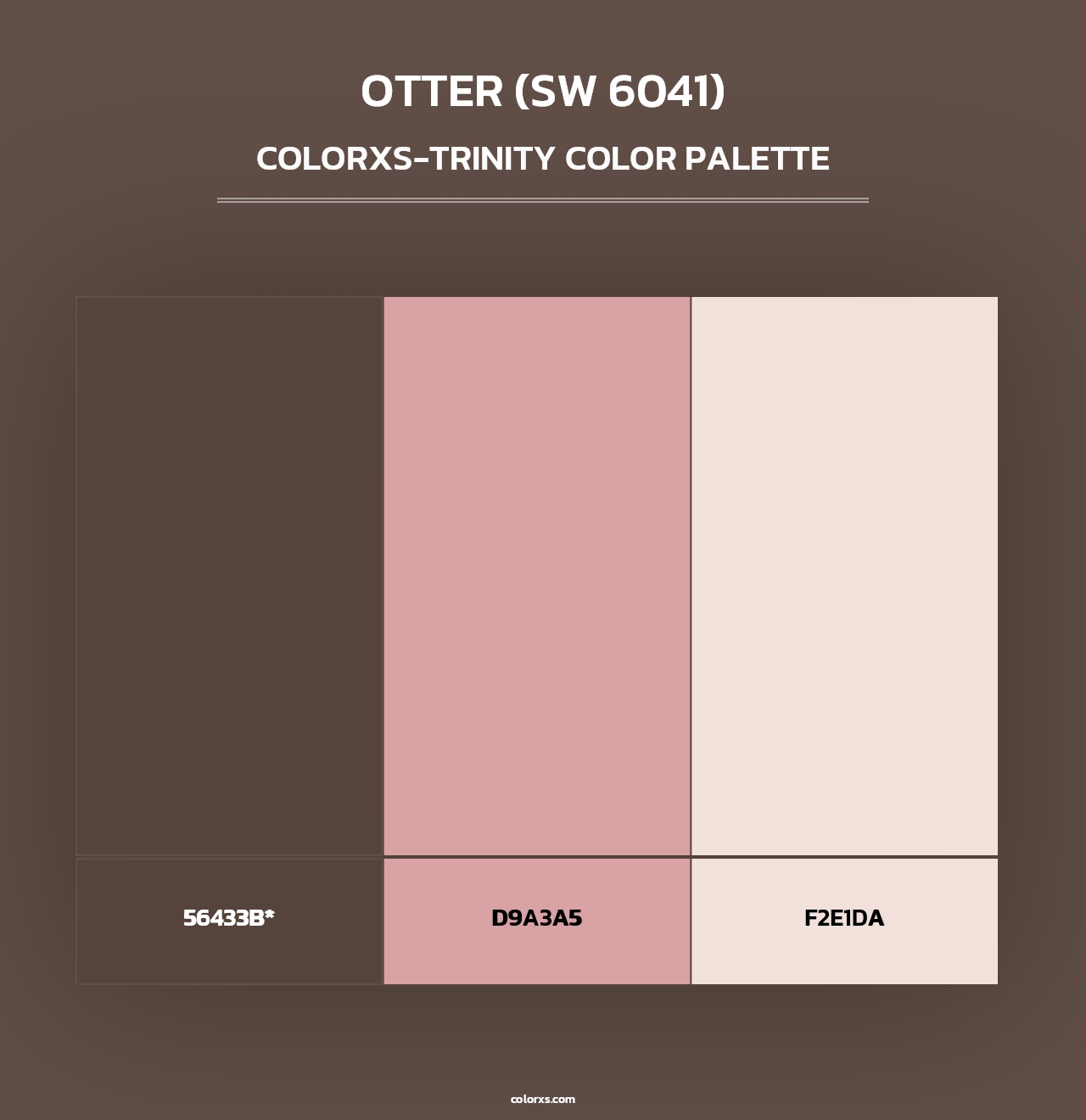 Otter (SW 6041) - Colorxs Trinity Palette