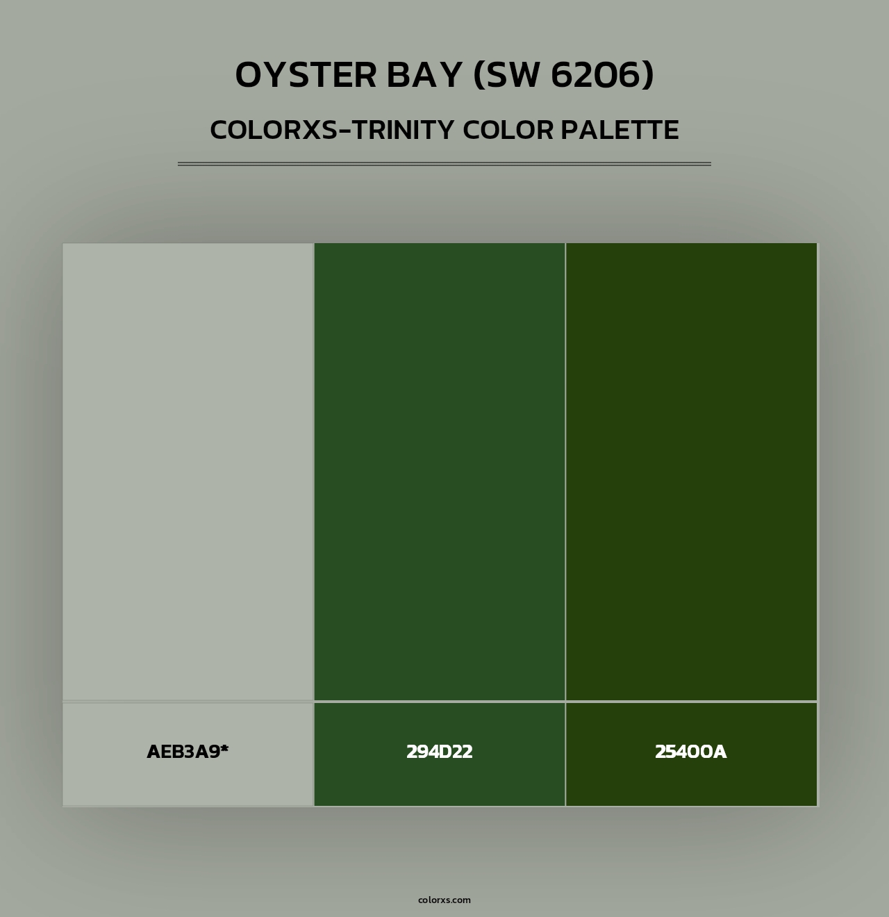 Oyster Bay (SW 6206) - Colorxs Trinity Palette