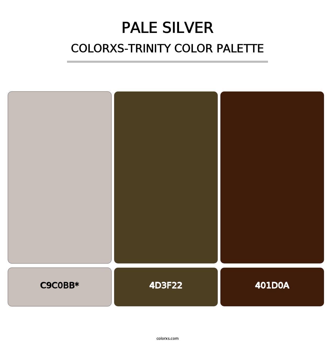 Pale Silver - Colorxs Trinity Palette