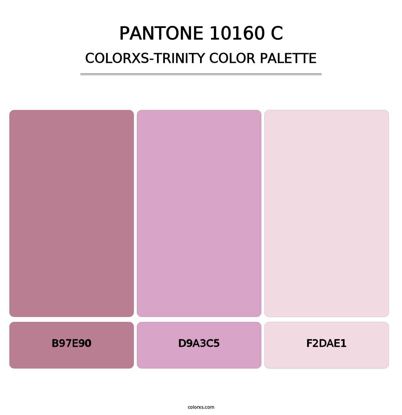 PANTONE 10160 C - Colorxs Trinity Palette