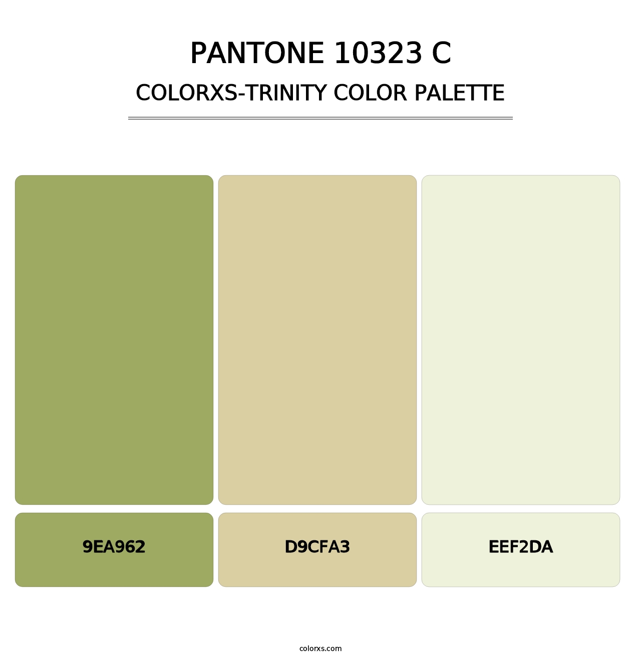 PANTONE 10323 C - Colorxs Trinity Palette