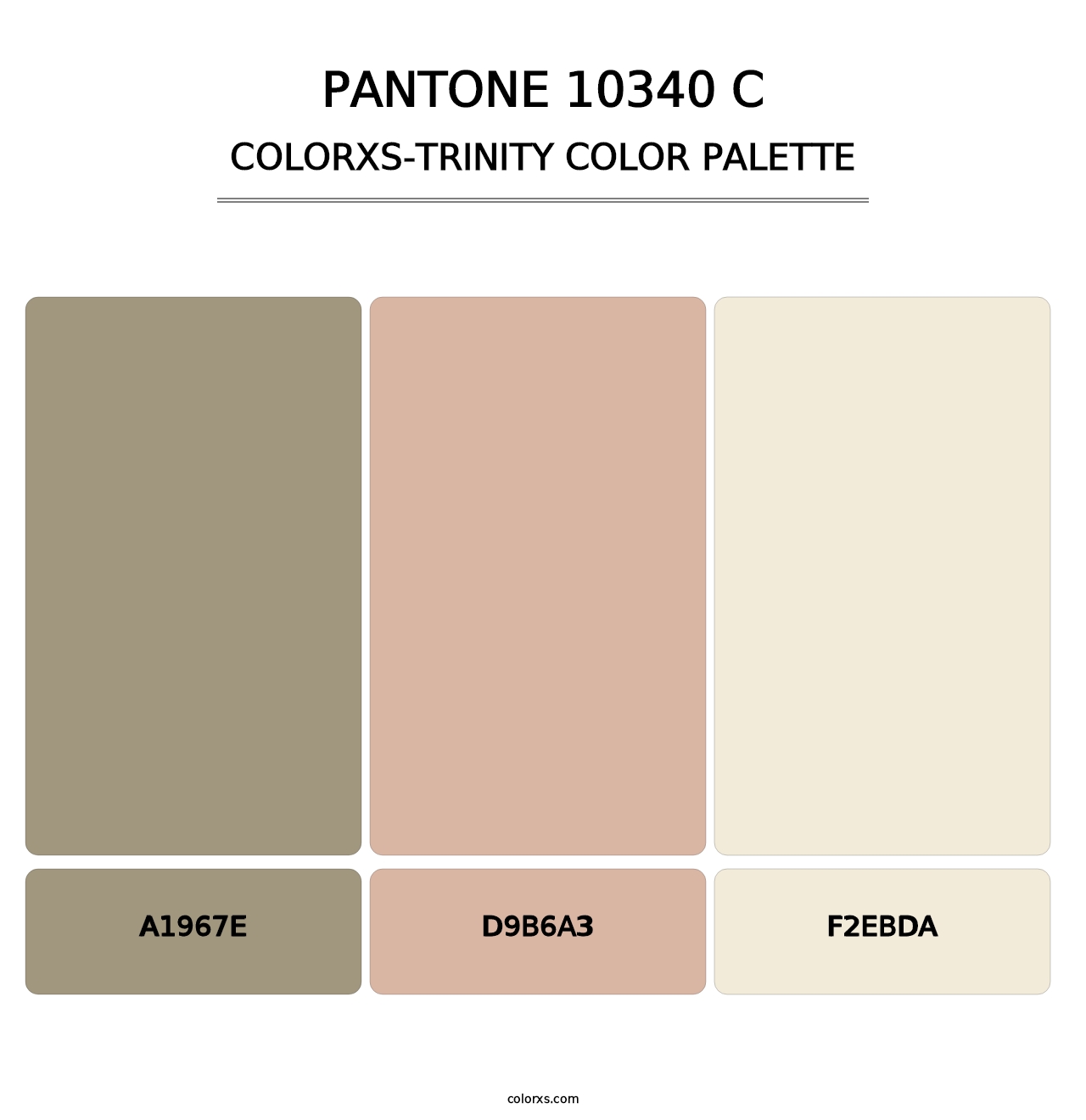 PANTONE 10340 C - Colorxs Trinity Palette