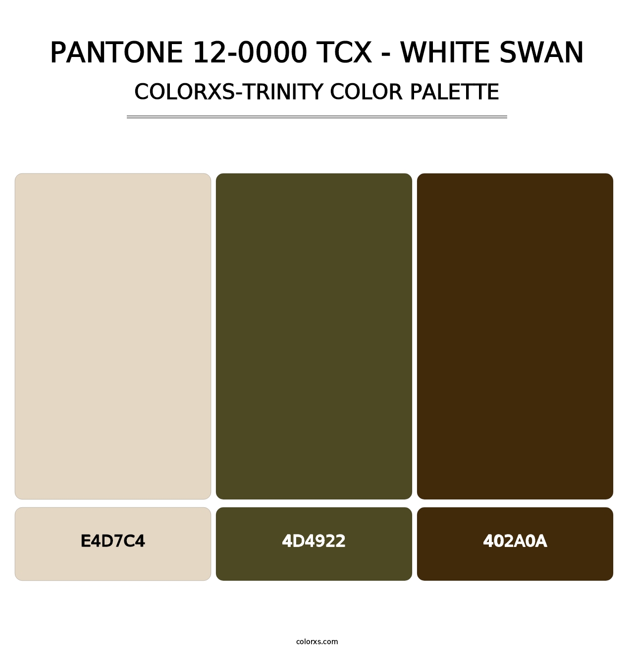 PANTONE 12-0000 TCX - White Swan - Colorxs Trinity Palette