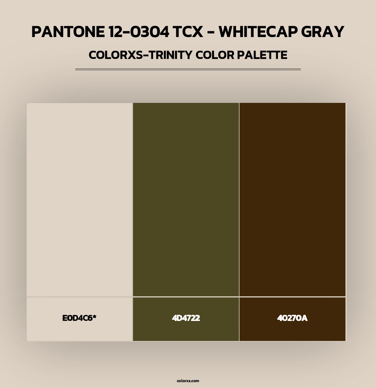 PANTONE 12-0304 TCX - Whitecap Gray - Colorxs Trinity Palette