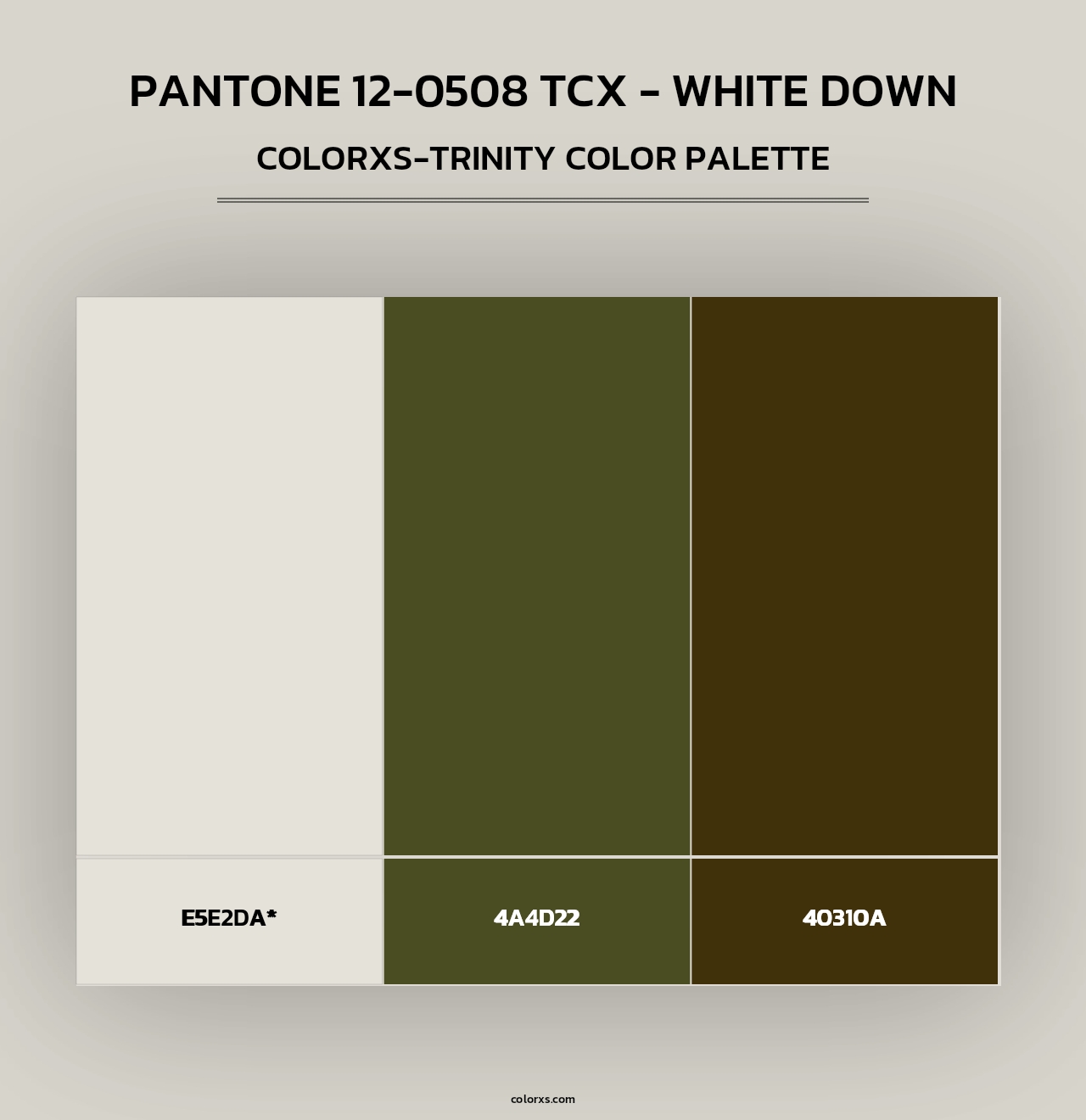 PANTONE 12-0508 TCX - White Down - Colorxs Trinity Palette