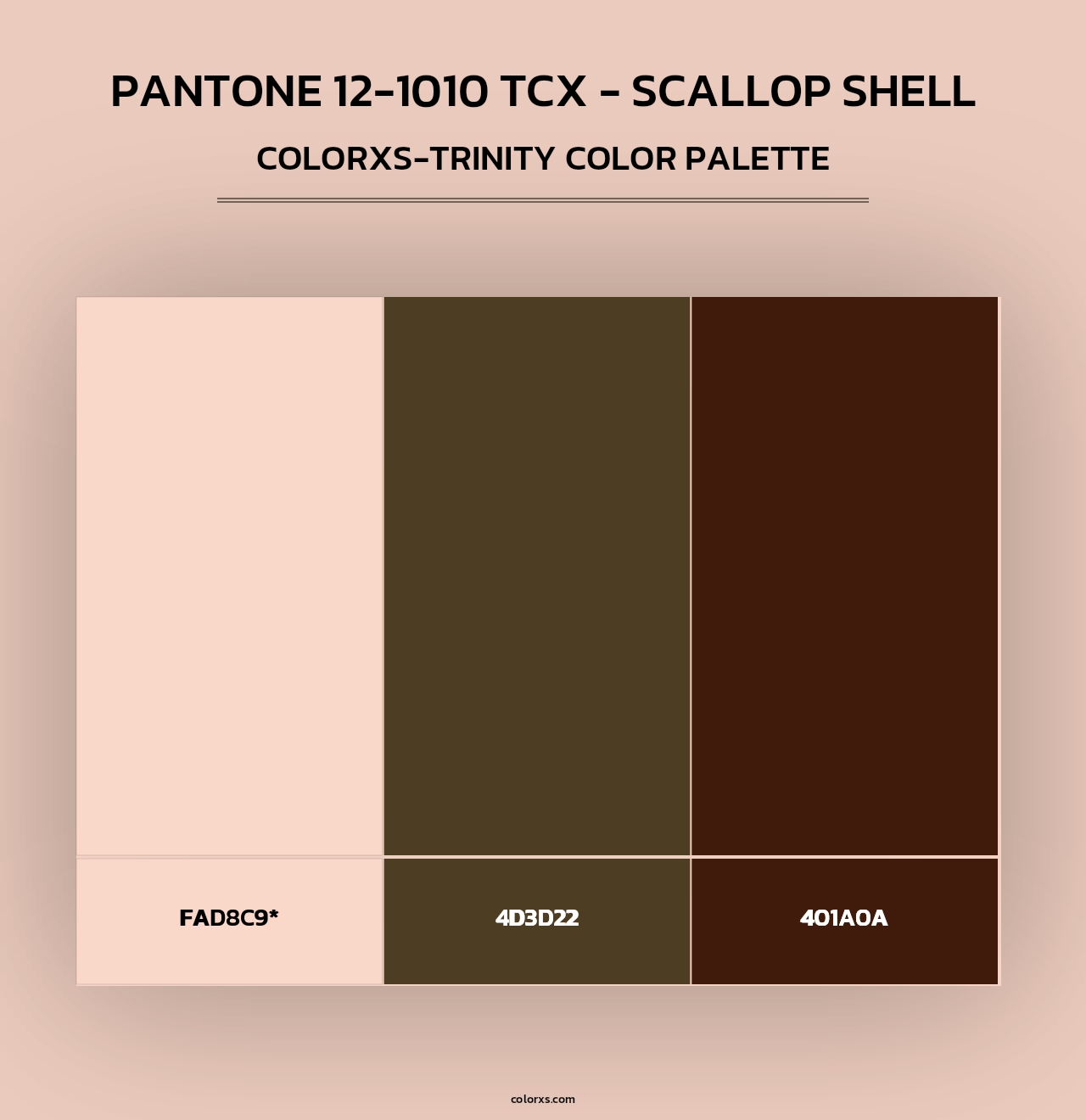 PANTONE 12-1010 TCX - Scallop Shell - Colorxs Trinity Palette
