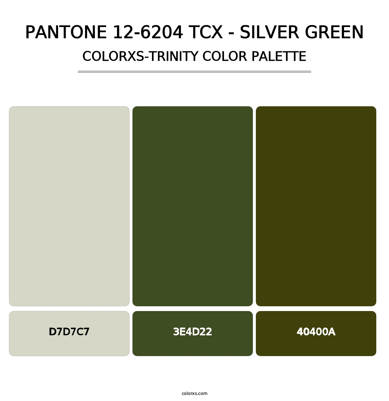 PANTONE 12-6204 TCX - Silver Green - Colorxs Trinity Palette