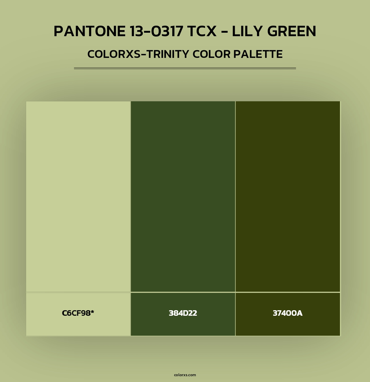 PANTONE 13-0317 TCX - Lily Green - Colorxs Trinity Palette