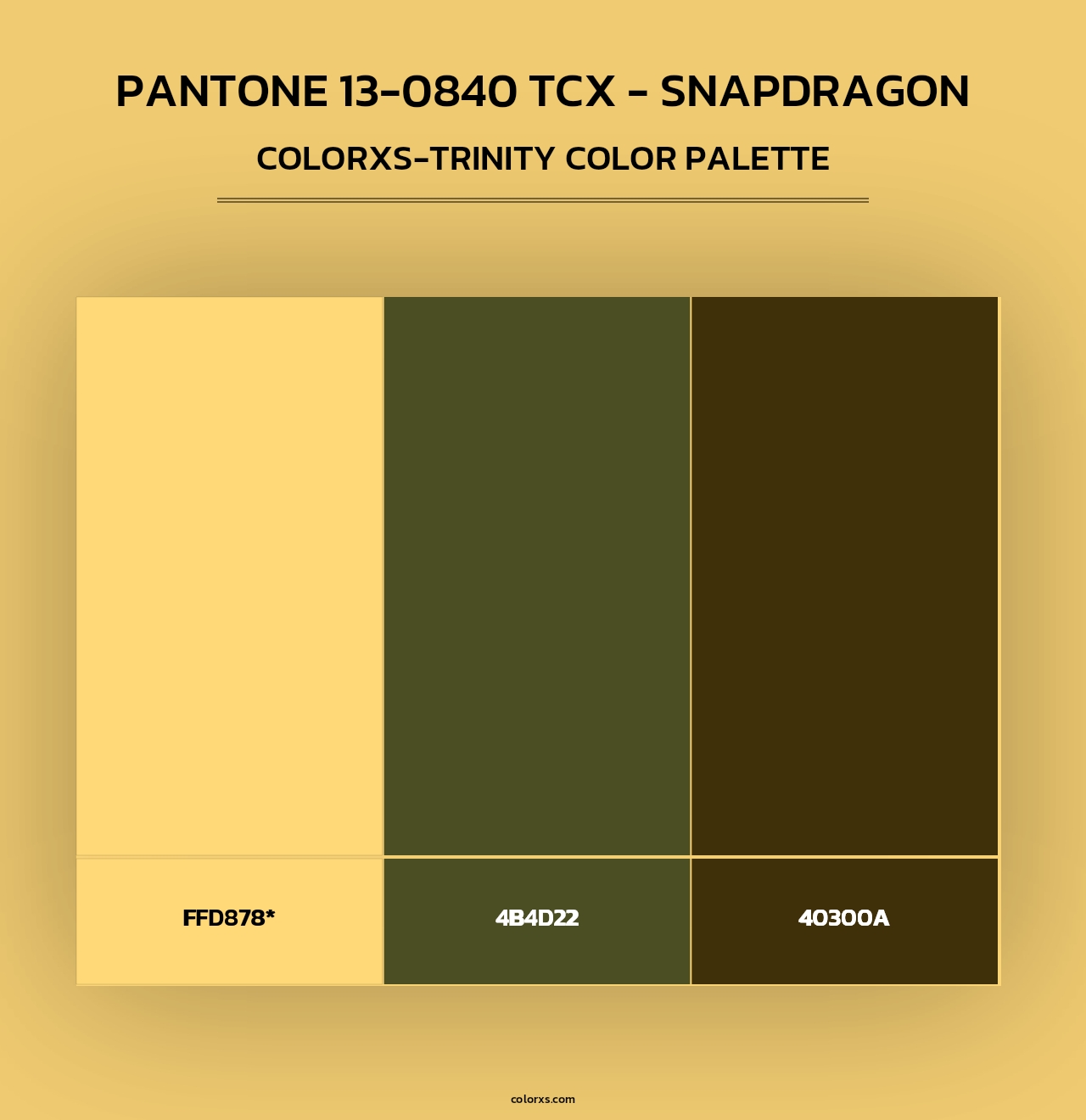 PANTONE 13-0840 TCX - Snapdragon - Colorxs Trinity Palette