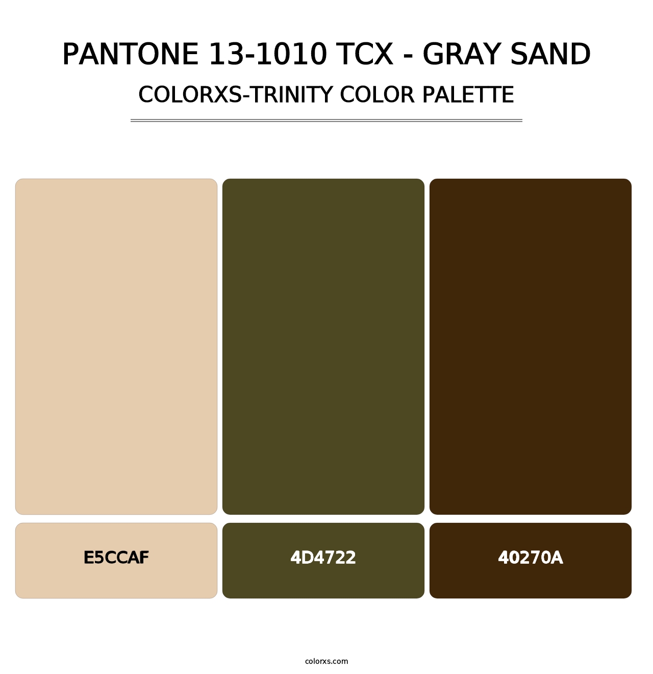 PANTONE 13-1010 TCX - Gray Sand - Colorxs Trinity Palette