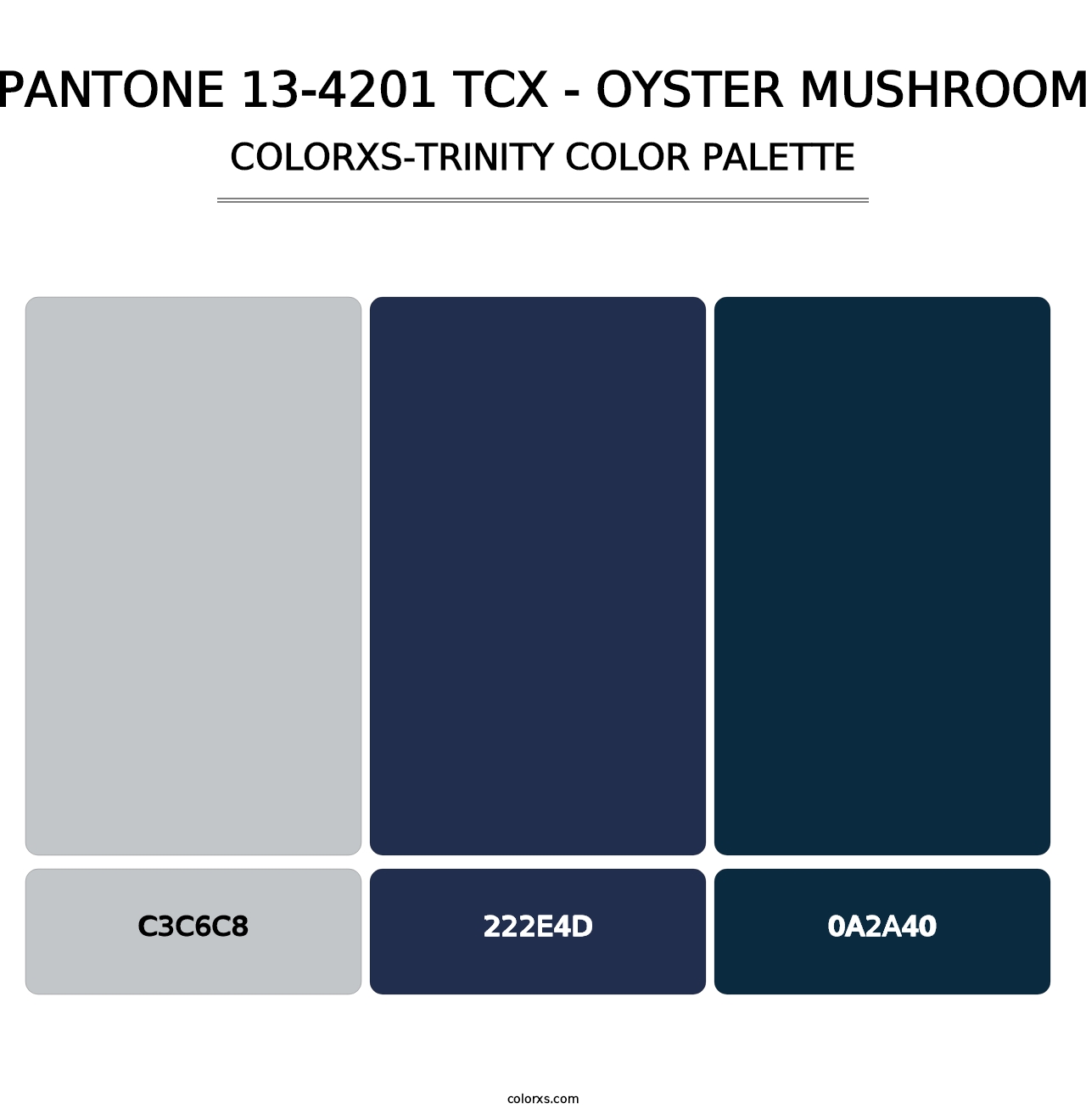 PANTONE 13-4201 TCX - Oyster Mushroom - Colorxs Trinity Palette