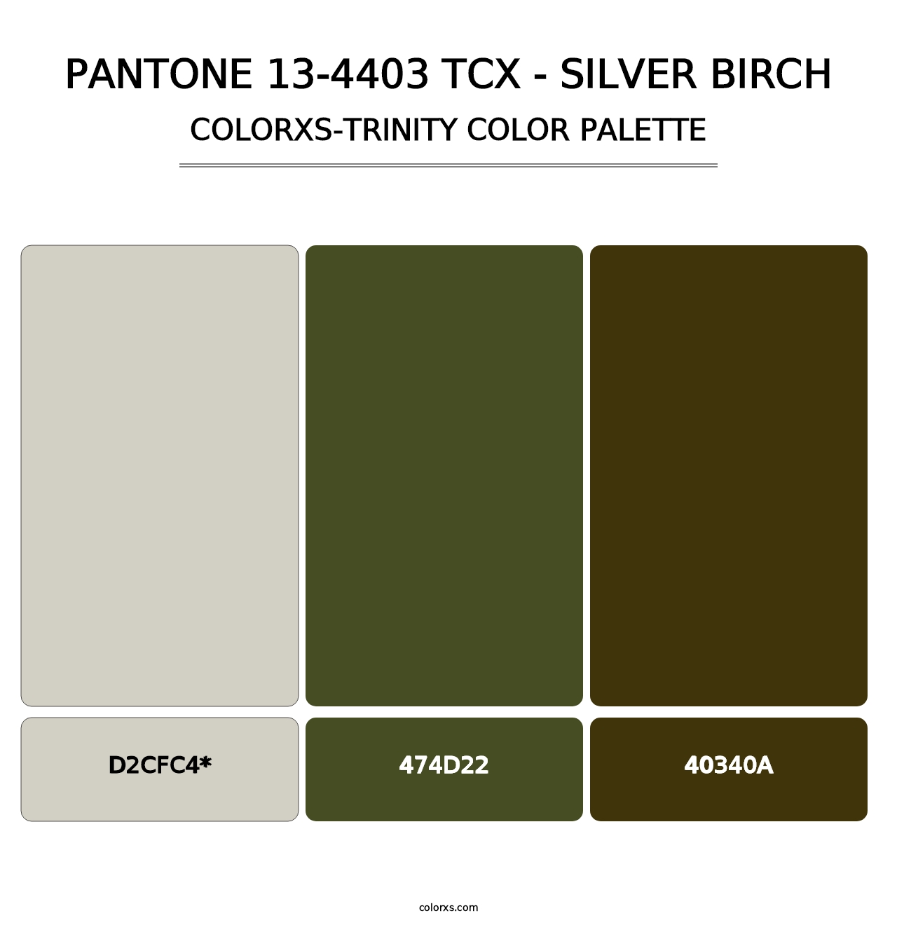PANTONE 13-4403 TCX - Silver Birch - Colorxs Trinity Palette
