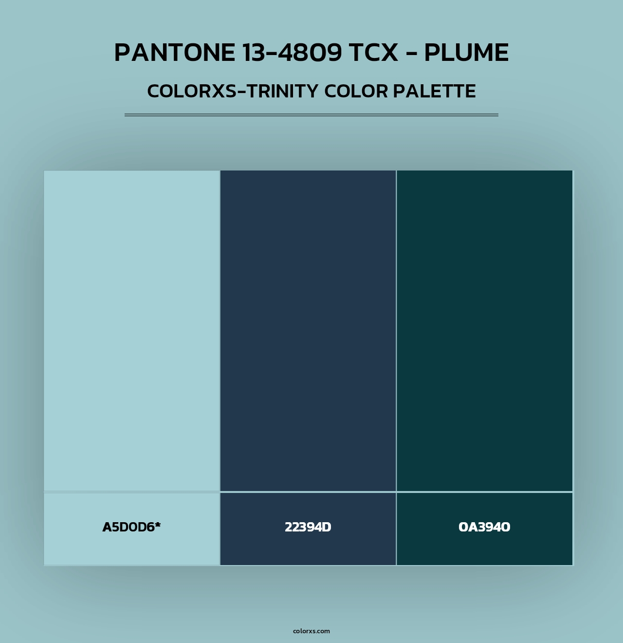 PANTONE 13-4809 TCX - Plume - Colorxs Trinity Palette