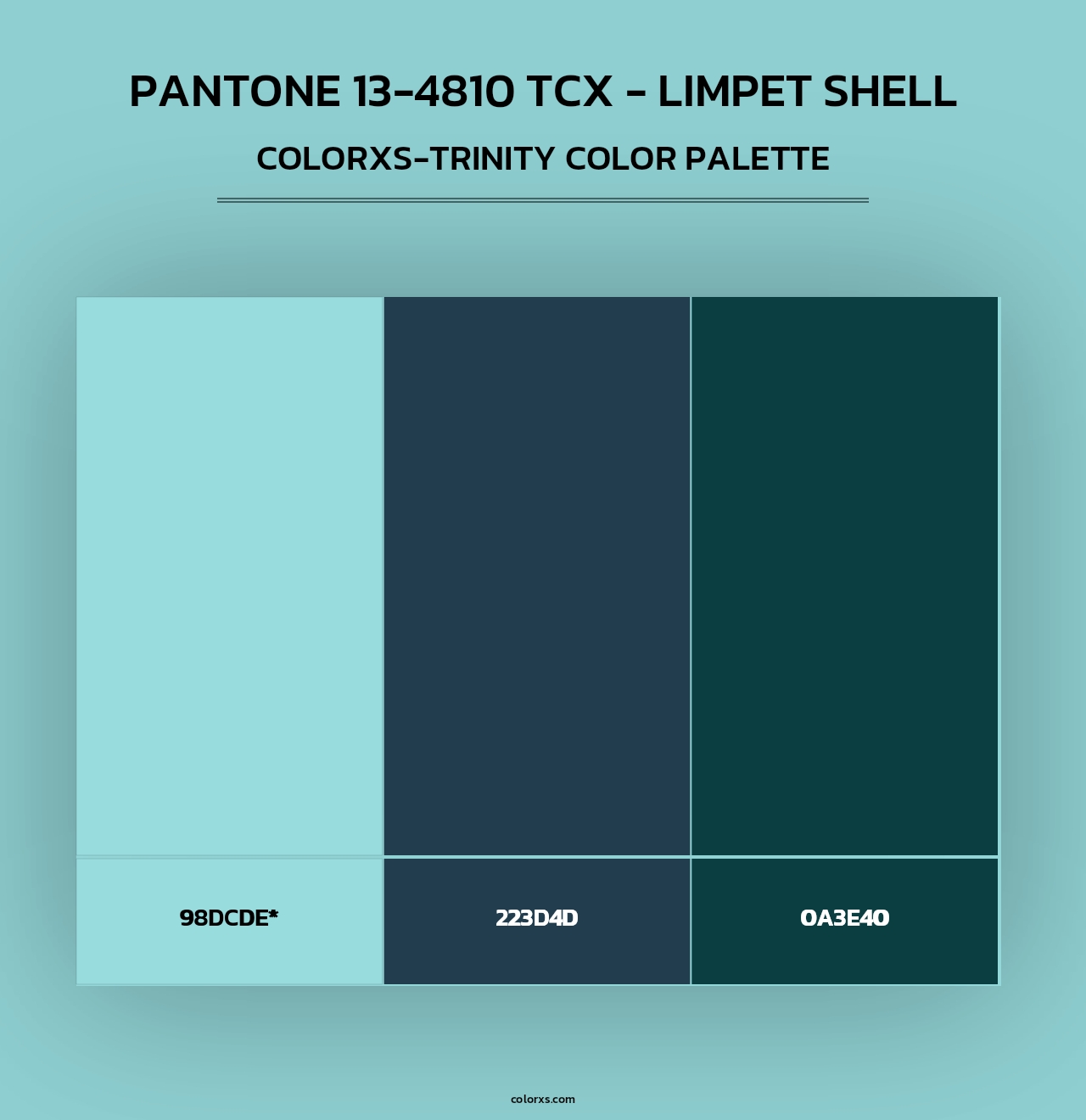 PANTONE 13-4810 TCX - Limpet Shell - Colorxs Trinity Palette