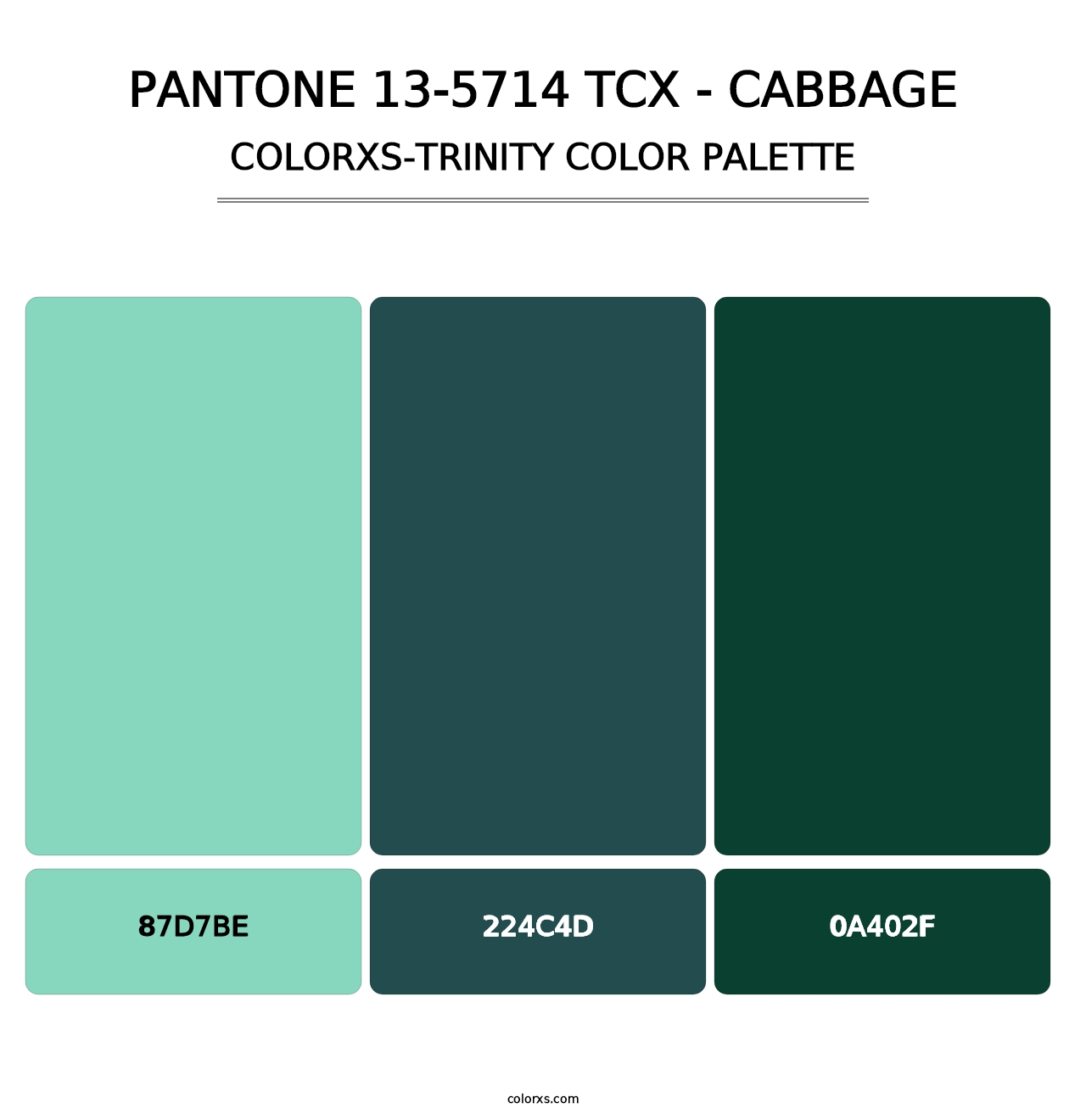 PANTONE 13-5714 TCX - Cabbage - Colorxs Trinity Palette