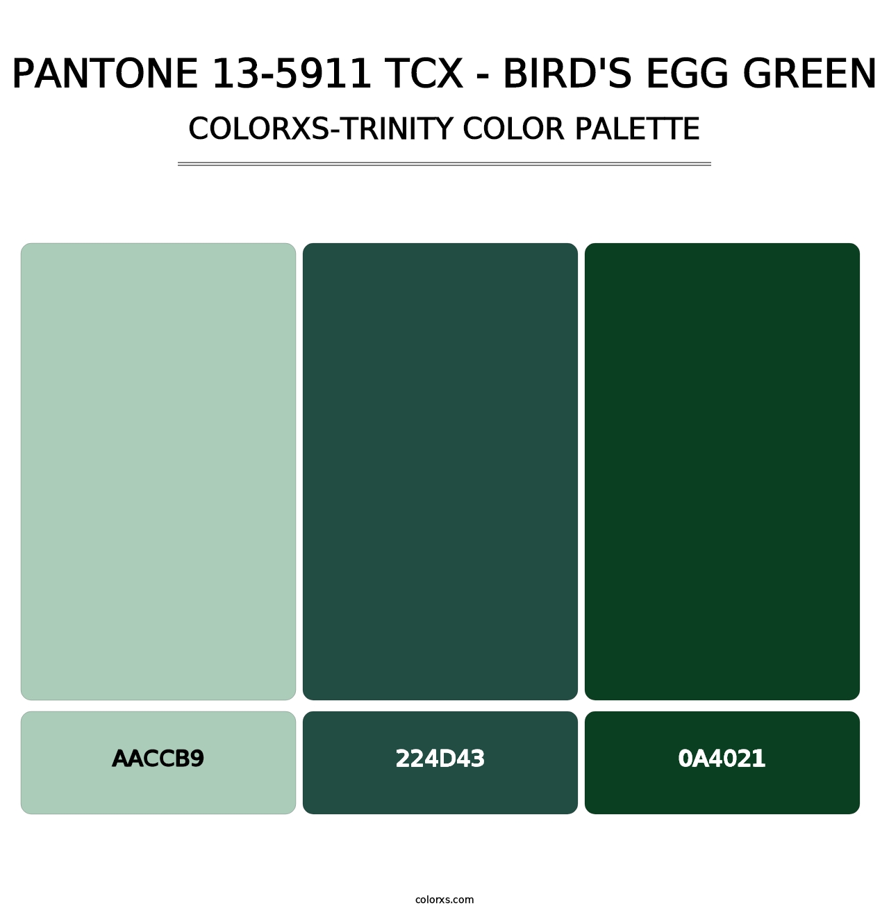 PANTONE 13-5911 TCX - Bird's Egg Green - Colorxs Trinity Palette