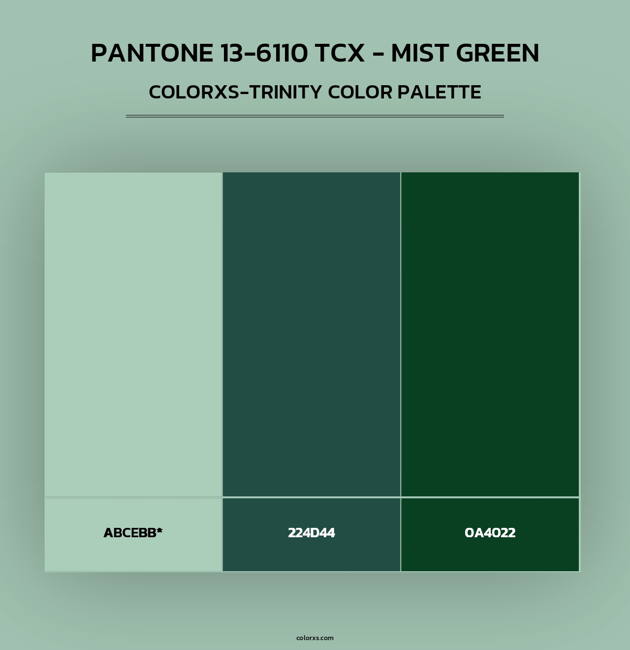 PANTONE 13-6110 TCX - Mist Green - Colorxs Trinity Palette