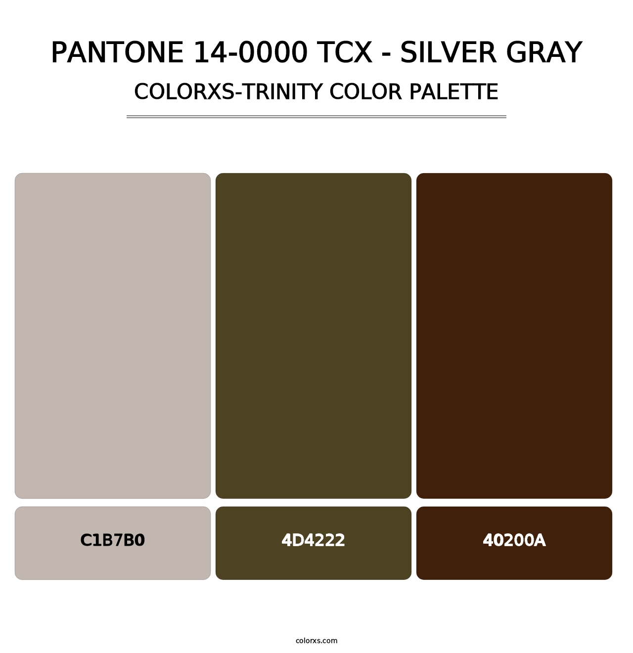 PANTONE 14-0000 TCX - Silver Gray - Colorxs Trinity Palette