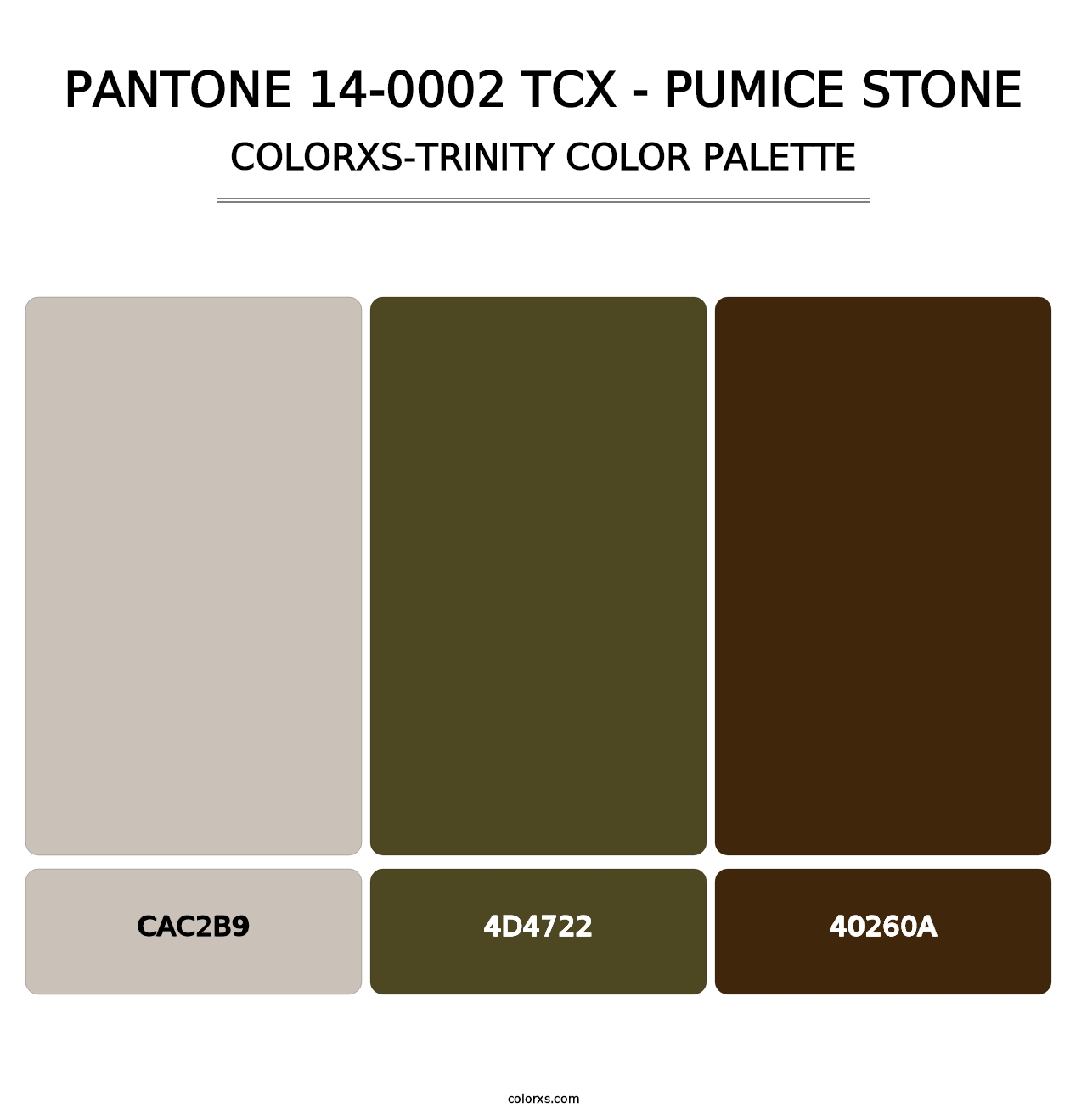 PANTONE 14-0002 TCX - Pumice Stone - Colorxs Trinity Palette