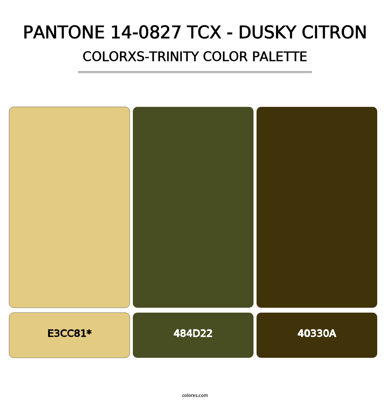 PANTONE 14-0827 TCX - Dusky Citron - Colorxs Trinity Palette