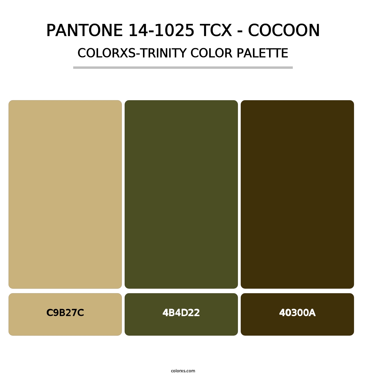 PANTONE 14-1025 TCX - Cocoon - Colorxs Trinity Palette