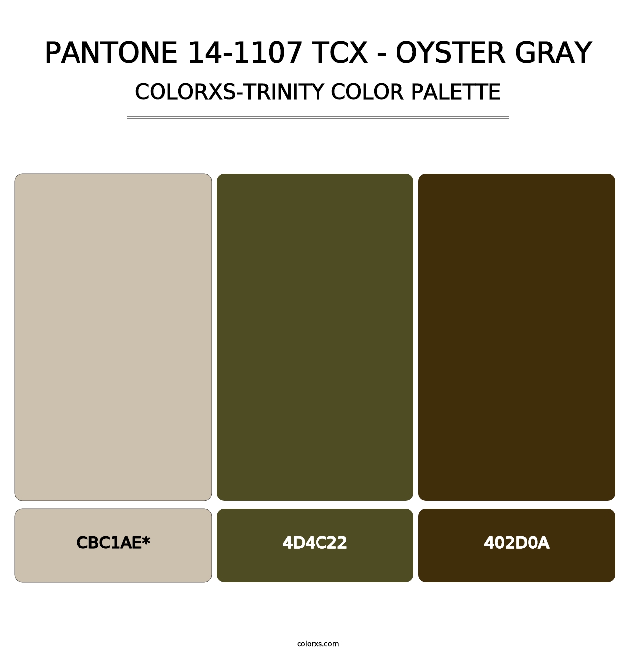 PANTONE 14-1107 TCX - Oyster Gray - Colorxs Trinity Palette