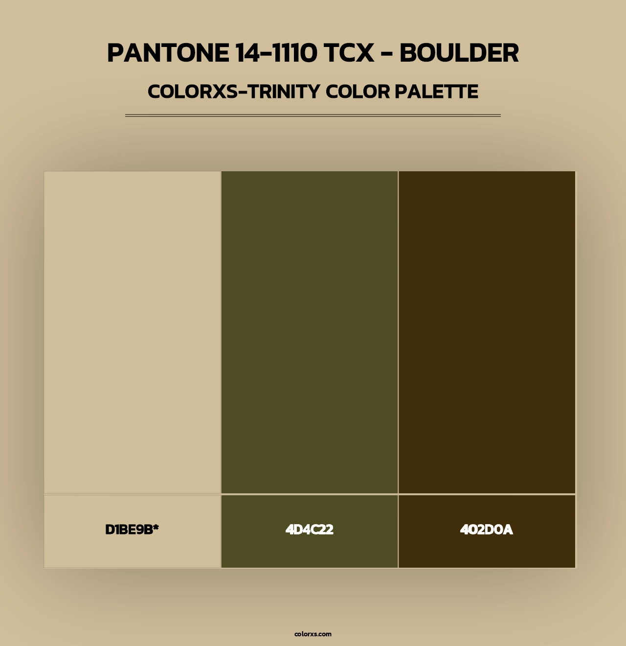 PANTONE 14-1110 TCX - Boulder - Colorxs Trinity Palette