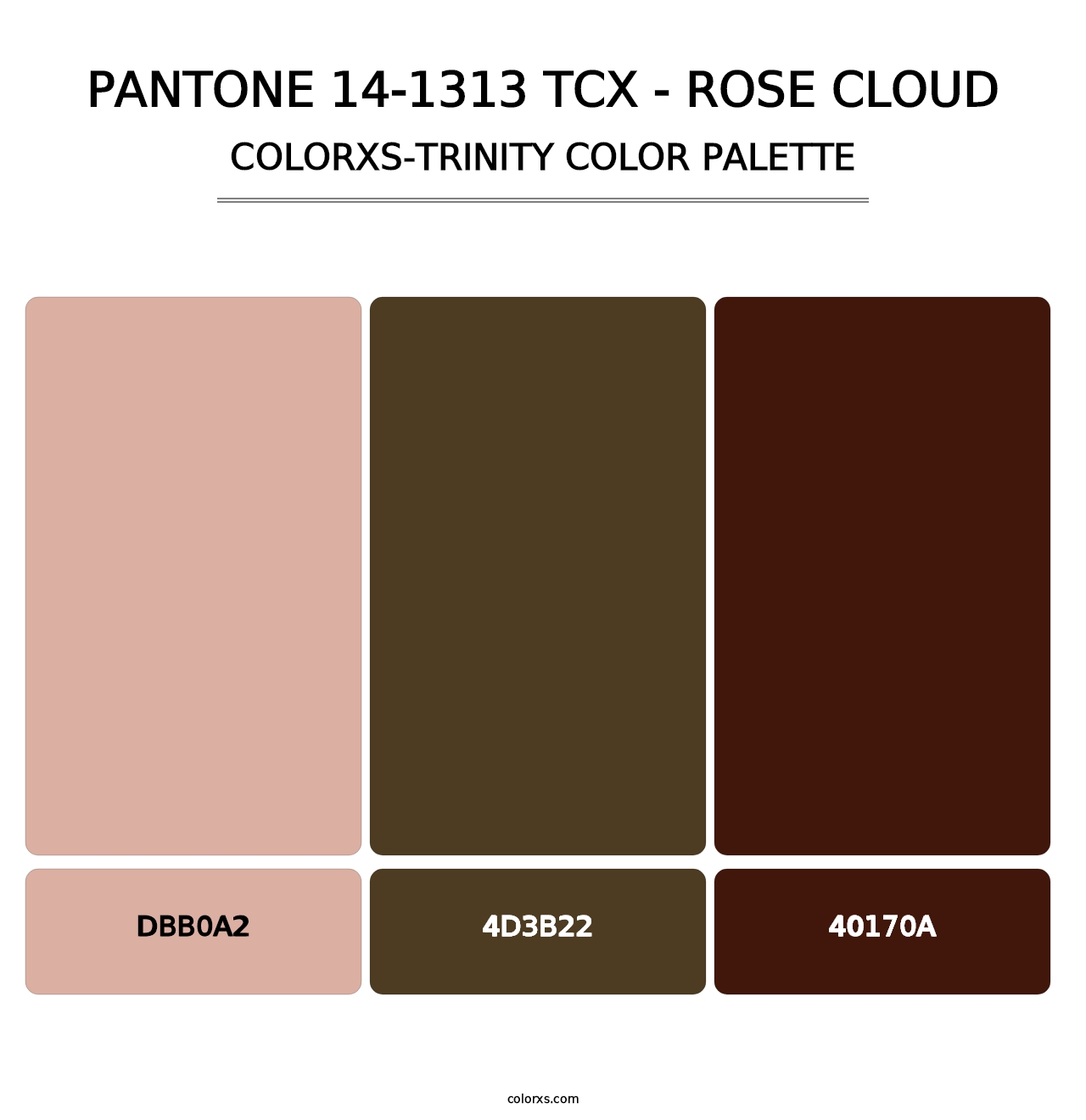 PANTONE 14-1313 TCX - Rose Cloud - Colorxs Trinity Palette