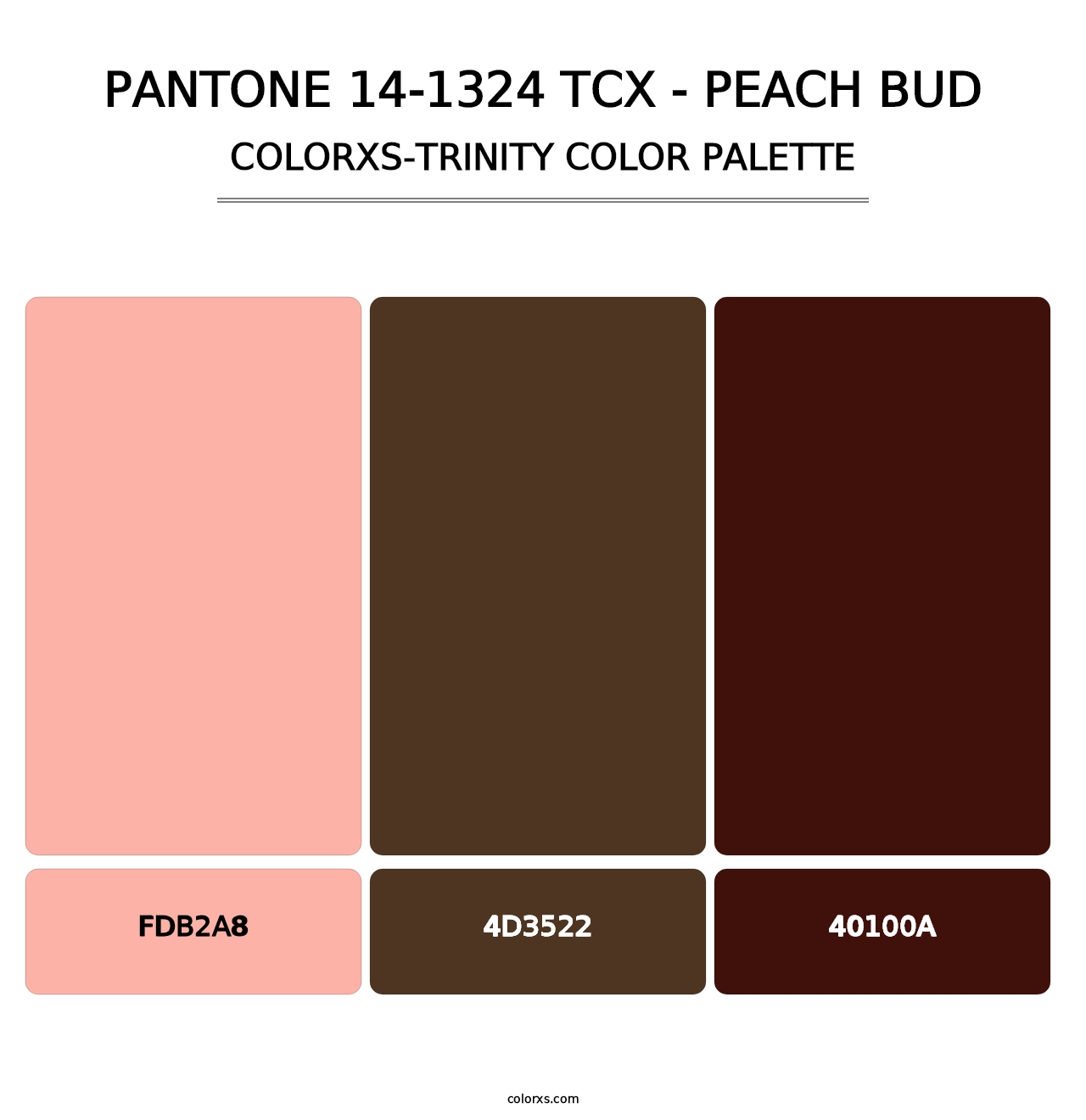 PANTONE 14-1324 TCX - Peach Bud - Colorxs Trinity Palette
