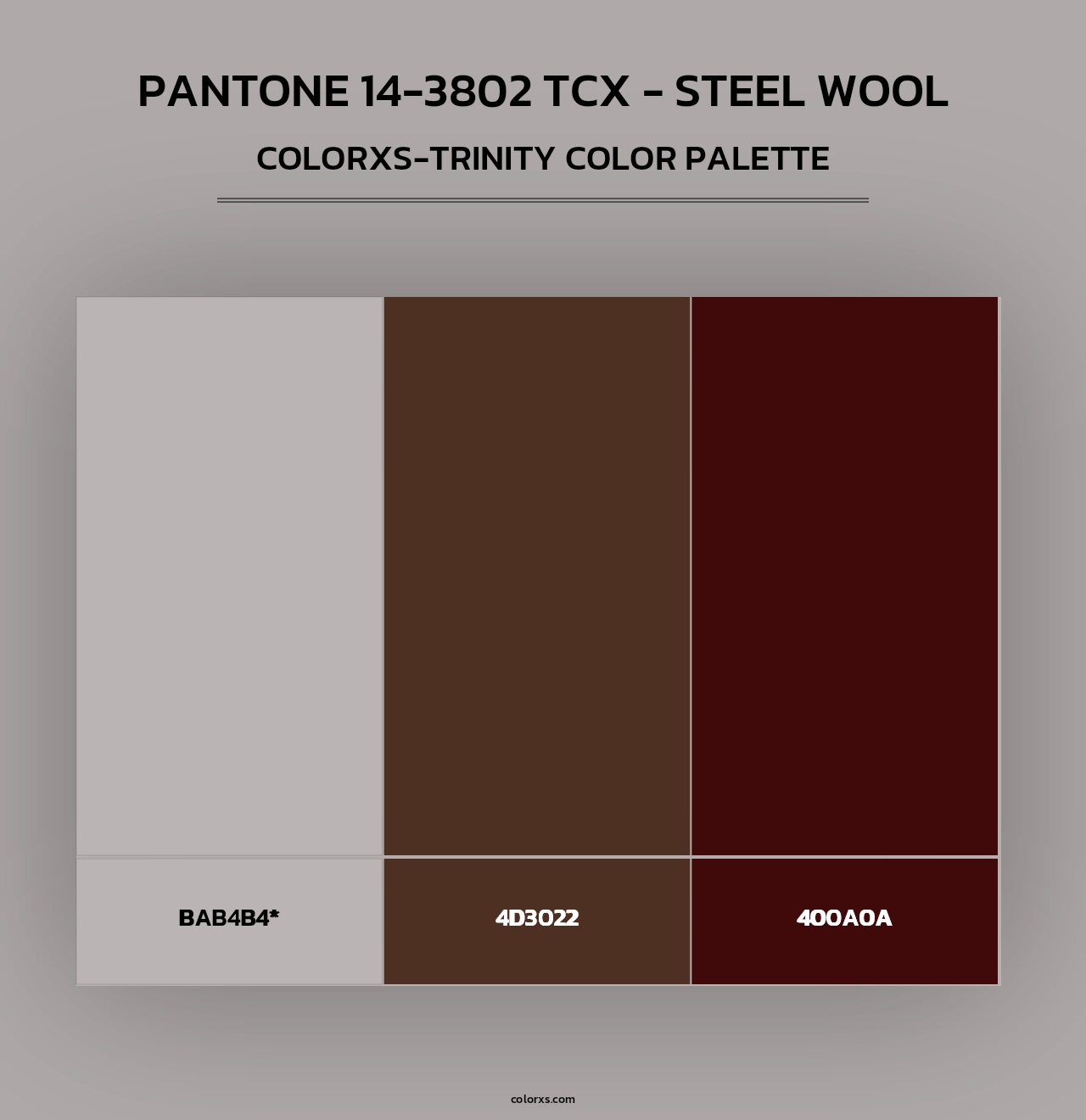PANTONE 14-3802 TCX - Steel Wool - Colorxs Trinity Palette