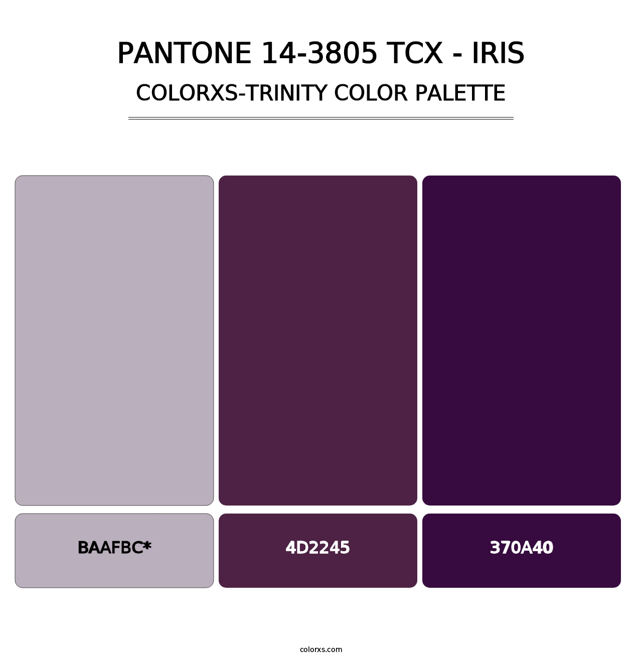 PANTONE 14-3805 TCX - Iris - Colorxs Trinity Palette